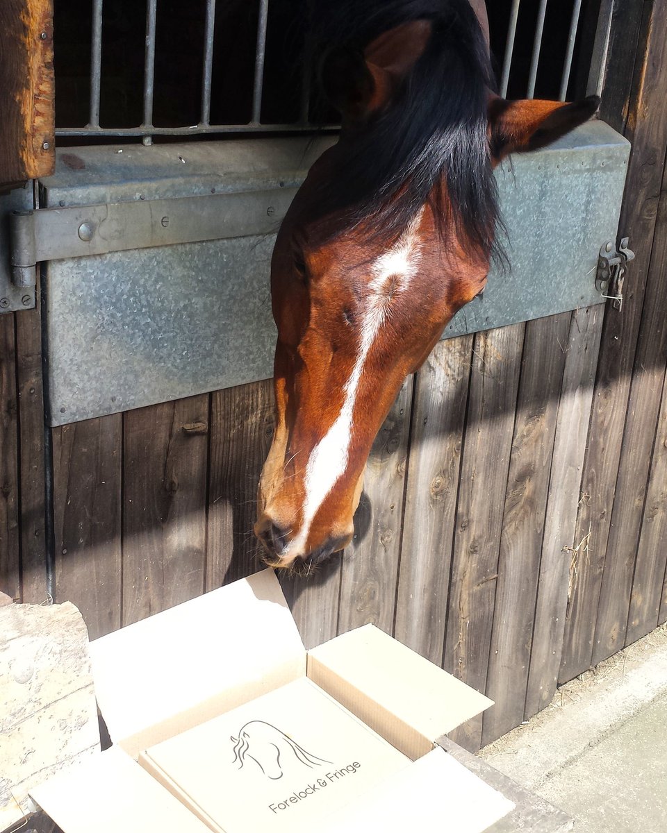 The much anticipated <a href="/Forelock_Fringe/">Forelock & Fringe</a> May Box has arrived &amp; it doesn't disappoint! From tasty treats, prosecco &amp; skincare to hoof balm, leather care &amp; grooming products: there is something for everyone. If you missed out then sign up now for the June Box!
#HorseHour #ponyhour