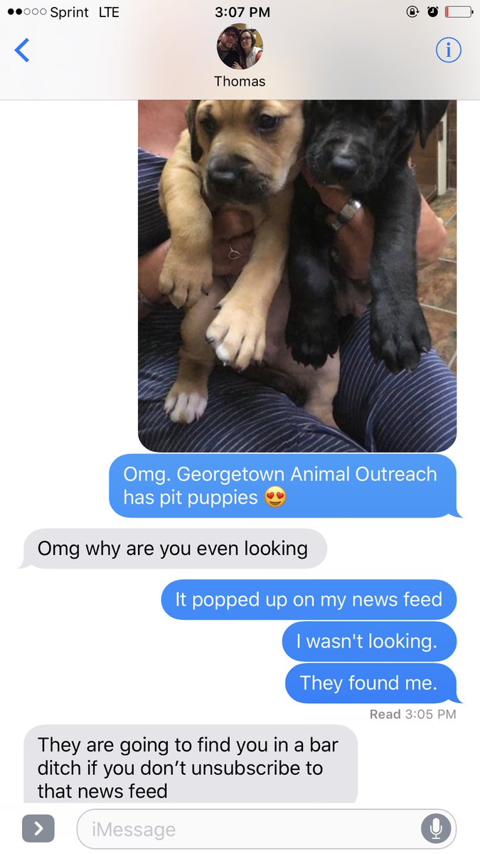 I doubt he means it. #ihaveapuppyproblem #pitpuppiesaremyjam #alltherescuepups