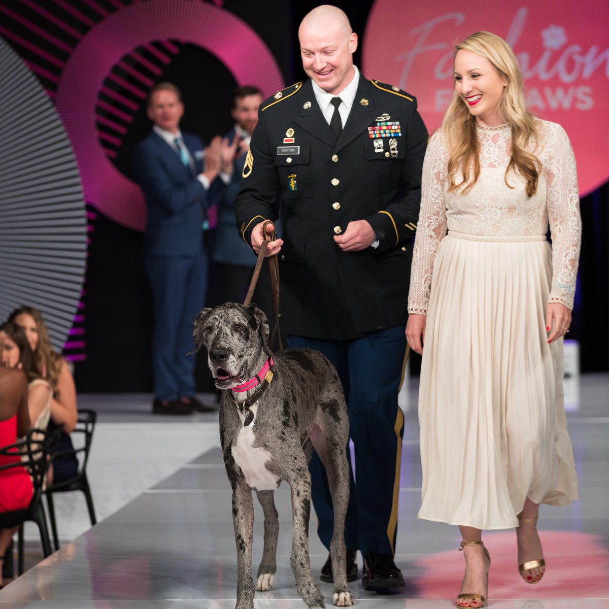 HumaneRescue's tweet photo. A huge thank you to everyone who attended and supported the @fashionforpaws 12th Annual Runway Show! With your help, the event raised $385,000 to help support the life-saving programs of the Humane Rescue Alliance and the thousands of animals we serve each year. https://t.co/HdtPolanEO