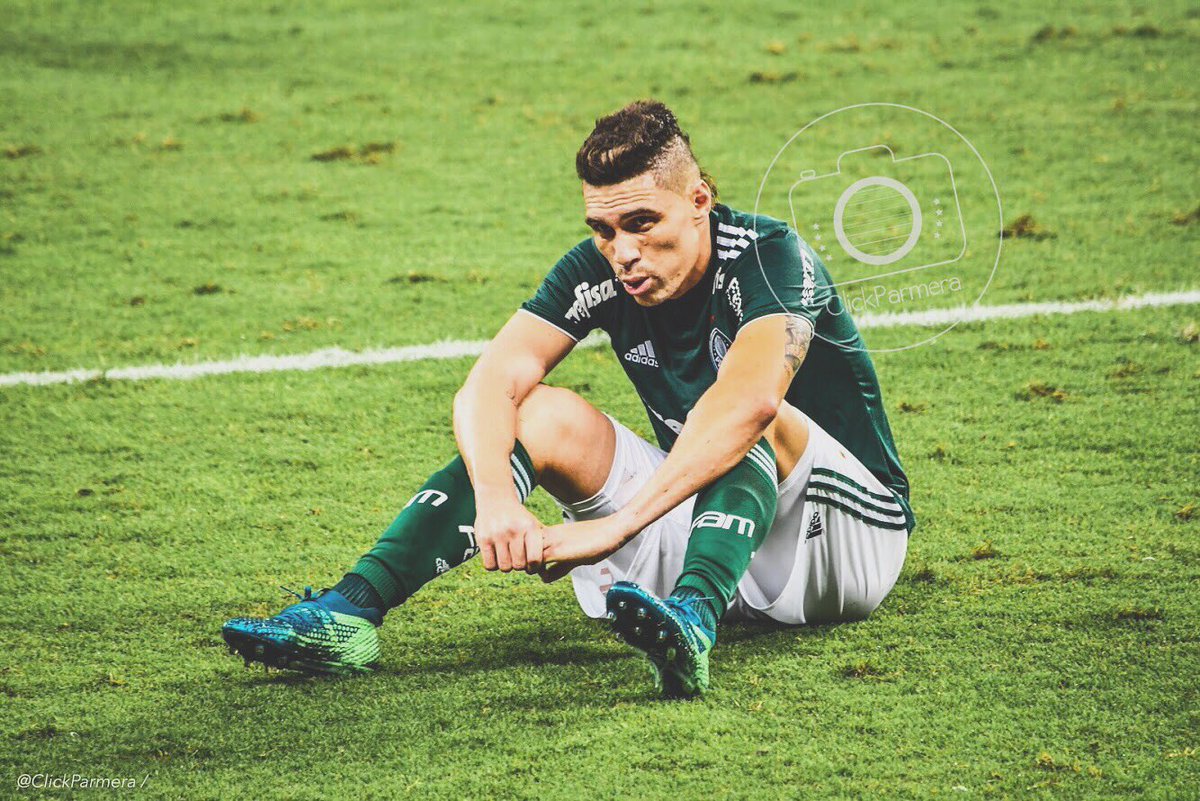 clickparmera's tweet photo. #ForzaMoises! @MoisesLima #Avanti #Palmeiras https://t.co/CE99OWrDMv