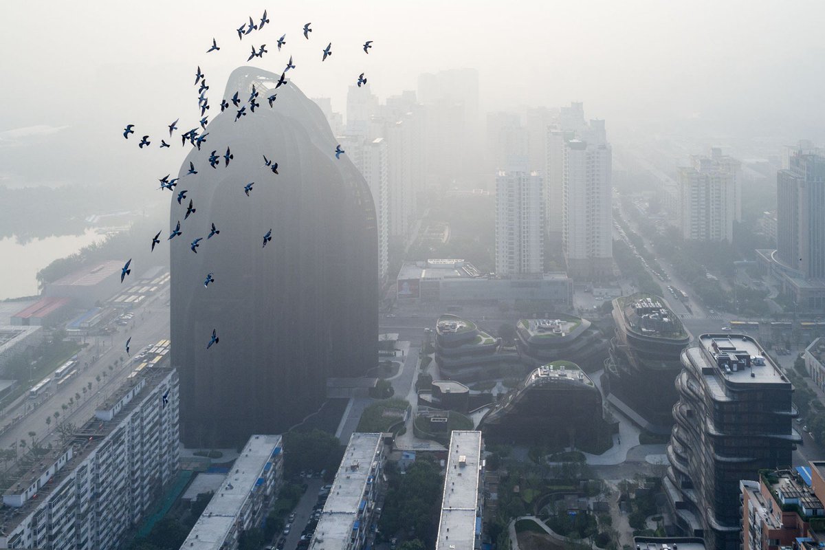 discoverbeijing's tweet photo. Chaoyang Park Plaza, Beijing.
Photos capture the relationship between the city of Beijing and the Chaoyang Park Plaza skyscraper, designed by MAD Architects,the studio headed by architect Ma Yansong.They offer an image of architecture in its urban setting. https://t.co/NcgTrWgwIJ https://t.co/8qWcYi9vC7