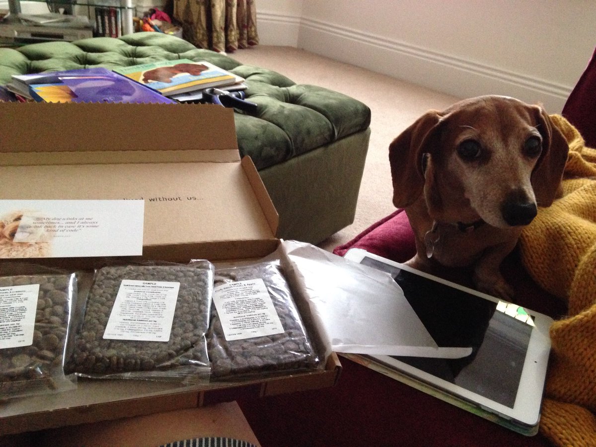Pixiethemsd's tweet photo. Look what @parcelpet sent me! A lovely free sample box, so I can try even more of their delicious flavours 😋 https://t.co/2Iit5ddhSI