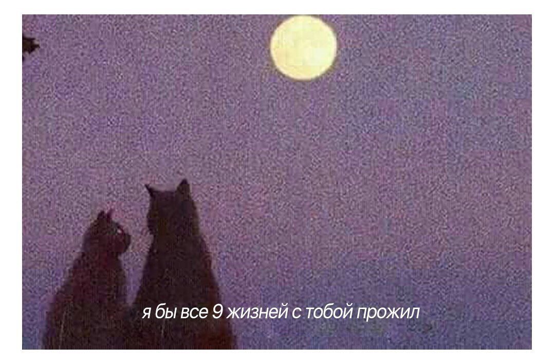 kov_katyaa's tweet photo. ♥️ https://t.co/K8PPcSZSgU