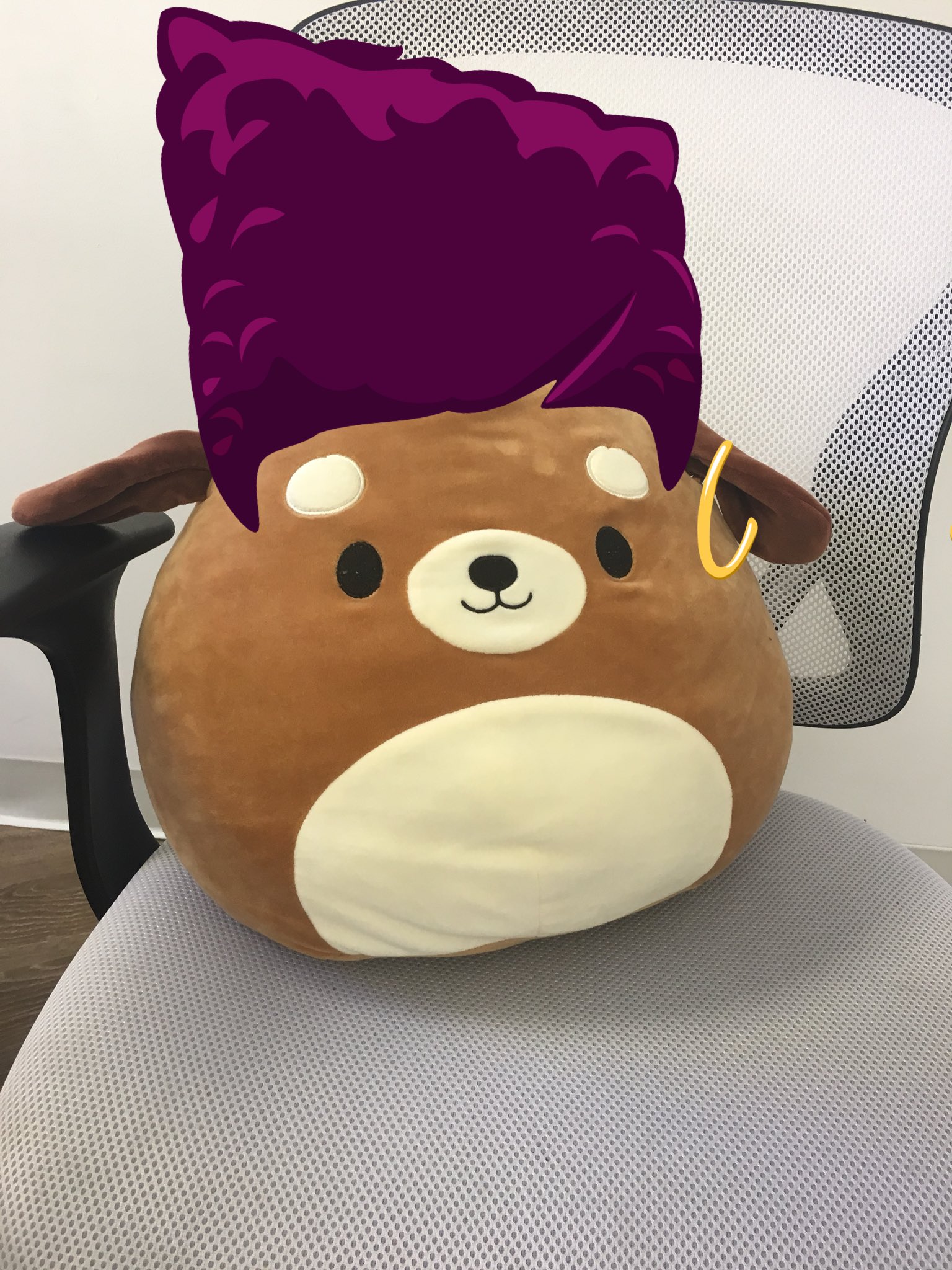 sam squishmallow