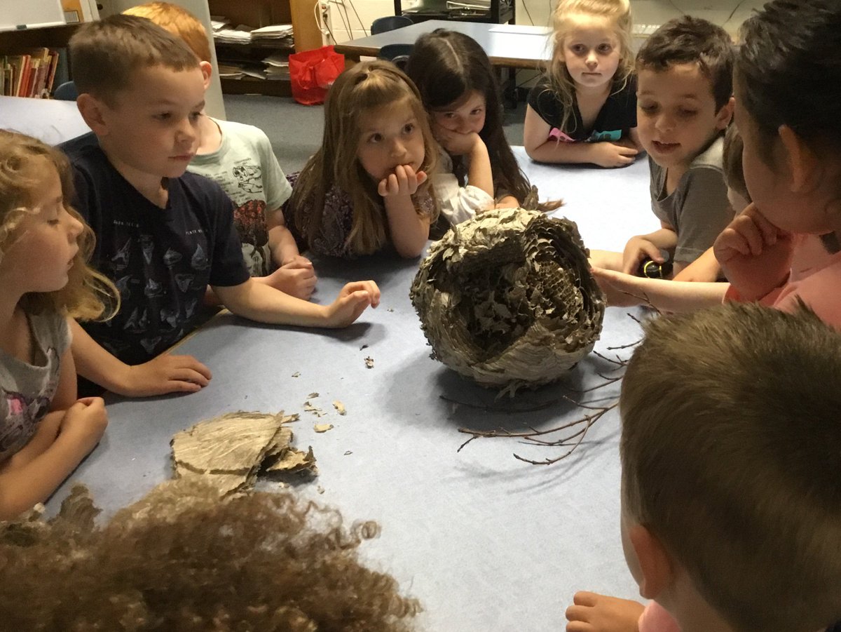 gwnelson100's tweet photo. "Who made that?" "What's it made of?" Ks in the Wondering phase of the inquiry process. @hcsrsd10ct https://t.co/edZxtE8UBW