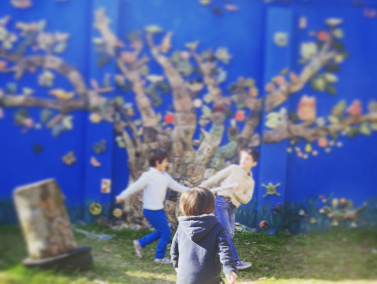 Mercedes-Benz Argentina tweet media