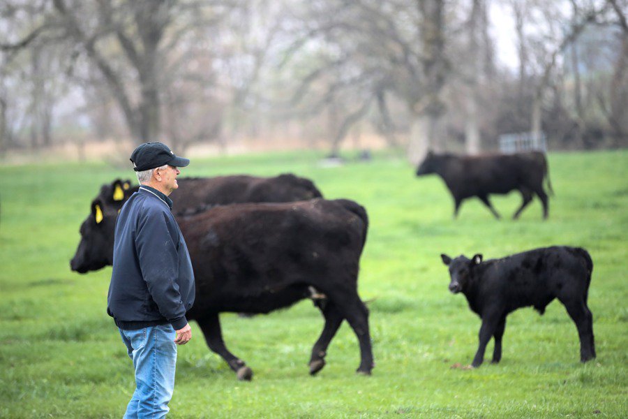 XHNews's tweet photo. U.S. farmer buoyed by China's huge beef market.
Though only a small quantity is being exported to China, American beef "will gain popularity as time goes on," he says https://t.co/I5LE20h3TC https://t.co/YnGXtMI7mP