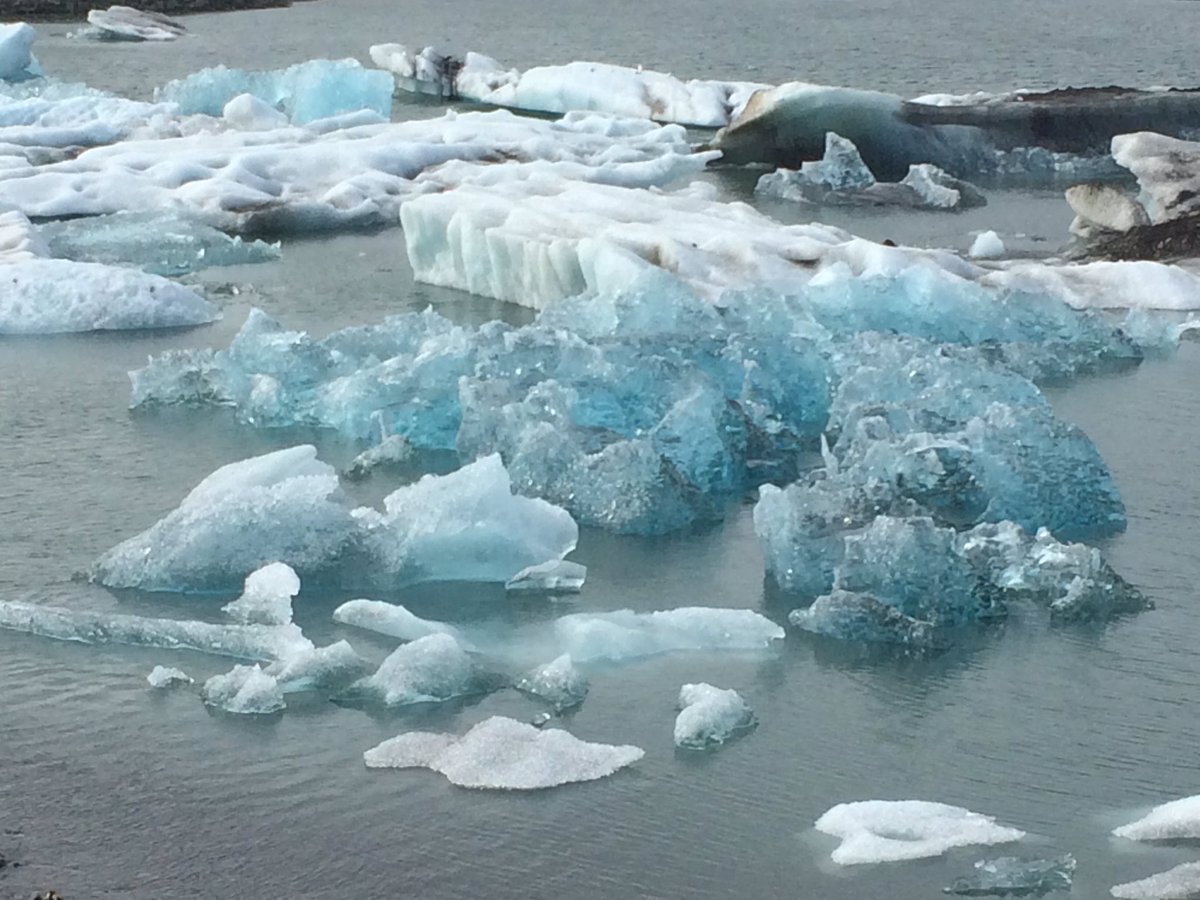 DrNaomiHolmes's tweet image. At Jokulsarlon one of the students said &apos;it looks like a screensaver&apos;.  Another said &apos;wow&apos;!  They were so excited and engaged! #outdoorlearning #learningwhilehavingfun #needtodomoreofthis #iceland #adventure #geography