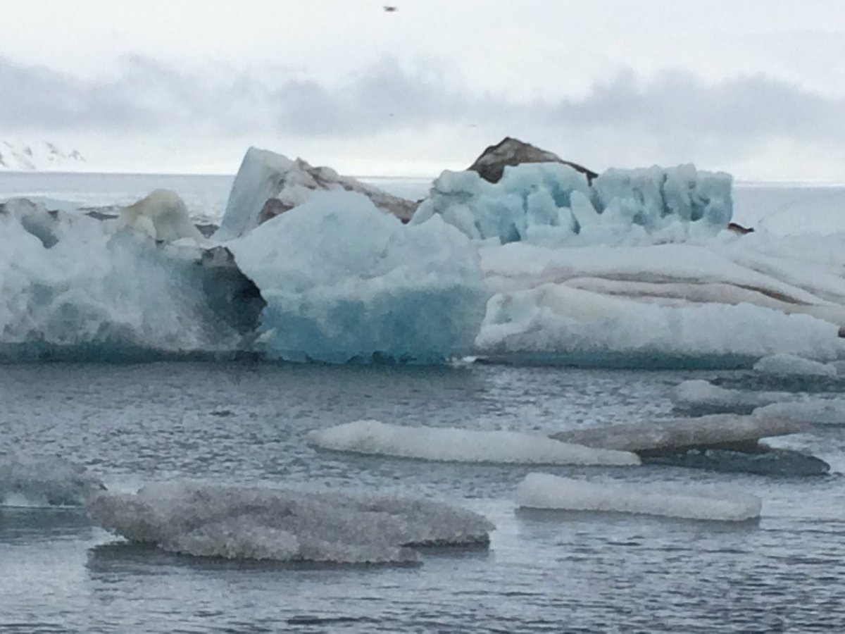 DrNaomiHolmes's tweet image. At Jokulsarlon one of the students said &apos;it looks like a screensaver&apos;.  Another said &apos;wow&apos;!  They were so excited and engaged! #outdoorlearning #learningwhilehavingfun #needtodomoreofthis #iceland #adventure #geography