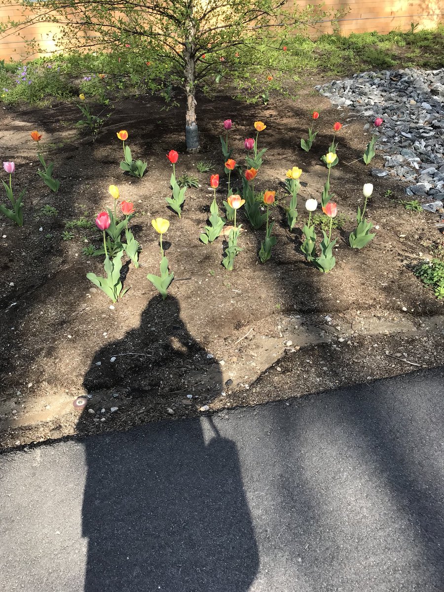 Andrew Tomaski tweet media