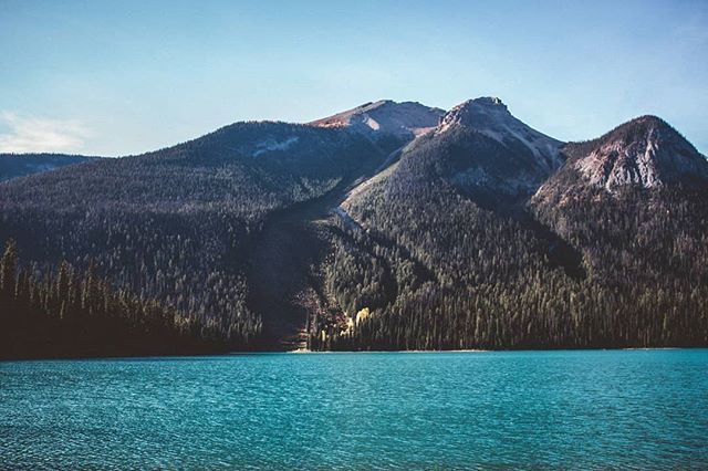 Amazing colours overlooking Emerald Lake. .
.
.
.
.
#ryan_fritsch_photography #emeraldlake #lakefront #lakeside #lakeview #insanecolours #lakesideviews #mountainviews  #nature_sultans #sky_sultans #1frame4nature #naturephoto #main_vision #landscape_captu… ift.tt/2Is1GAu