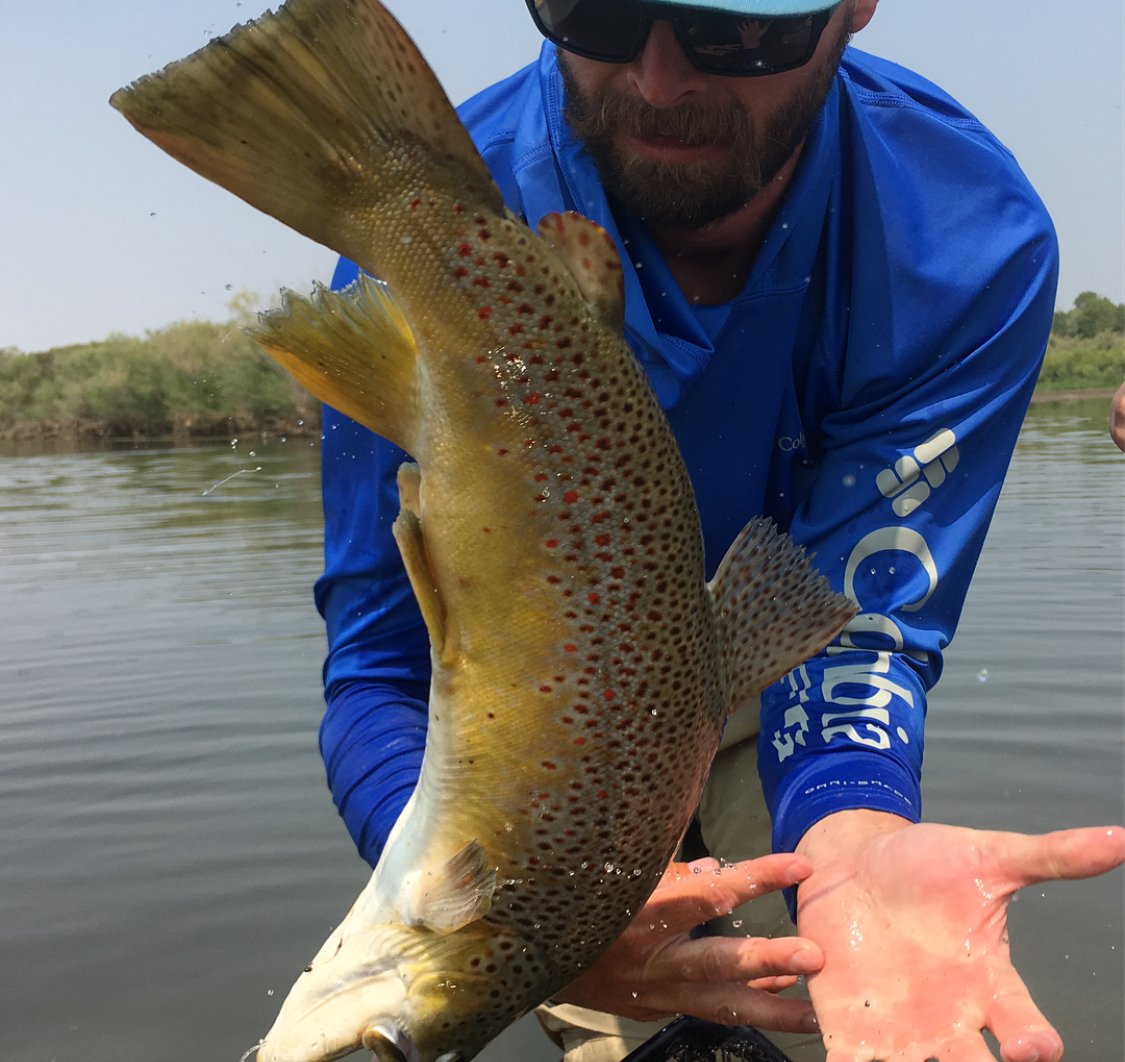MondoFlyFishing's tweet photo. Over here at Mondo Fly Fishing, giant browns do dub corks right INTO our hands!

#MondoFlyFishing #FlyFishing #BeAForceOfAdventure #FishFlop https://t.co/sxhgRmVlG7