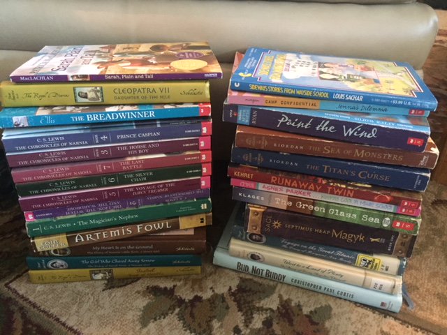 taramgilboy's tweet photo. #Kidsneedbooks for summer reading! Teachers, I'm donating this stack of middle grade books for you to send home with your students. Comment below if you're interested, and on Friday, I will randomly select a winner. Thanks @annbradenbooks for starting this! https://t.co/q7rVHojFPR