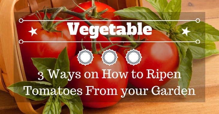 Ella Wilson tweet media