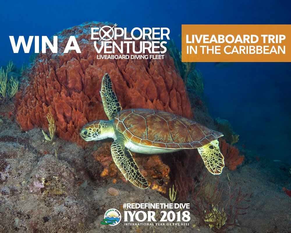 Green Fins (@green_fins) on Twitter photo Do you want to know what lies underneath the surface of the #Caribbean Sea? Participate in the #RedefineTheDive Contest to find out! ow.ly/M9OC30jMLq6 <a href="/ExplorerVenture/">Explorer Ventures Liveaboard Diving Fleet®</a>
.
#GreenFinsIYOR2018 #IYOR2018 #SaveOurReefs #DiveForChange #sustainablediving #ExplorerVentures Do you want to know what lies underneath the surface of the #Caribbean Sea? Participate in the #RedefineTheDive Contest to find out! ow.ly/M9OC30jMLq6 <a href="/ExplorerVenture/">Explorer Ventures Liveaboard Diving Fleet®</a>
.
#GreenFinsIYOR2018 #IYOR2018 #SaveOurReefs #DiveForChange #sustainablediving #ExplorerVentures