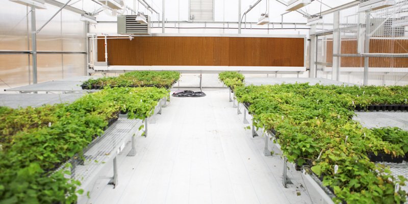 Midwest Hop Producers May Update - mailchi.mp/61aaf7be596d/m…