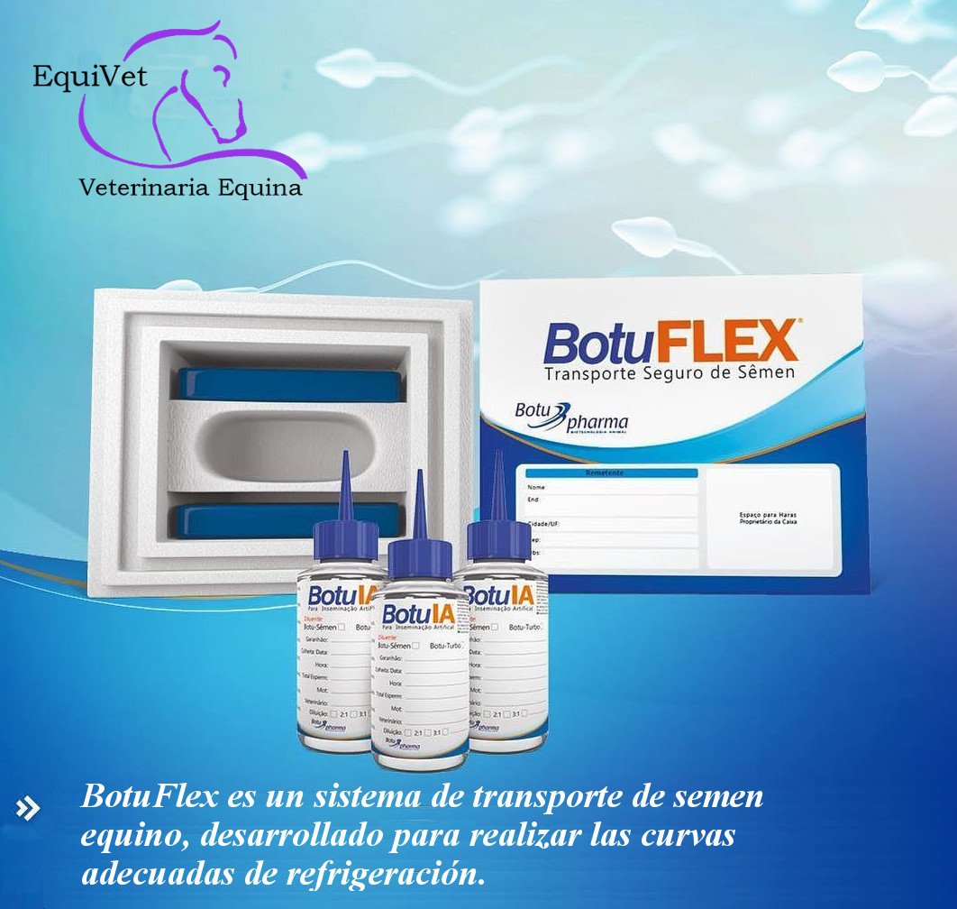 EquiVet_ARG's tweet photo. BotuFlex es una solución de transporte de semen, desarrollado para realizar las curvas adecuadas de refrigeración.
La densidad de sus capas logran una aislación que permite que las muestras enviadas lleguen a destino final a la temperatura adecuada.
#EquiVet #reproduccionequina https://t.co/iA5ao4o3J2