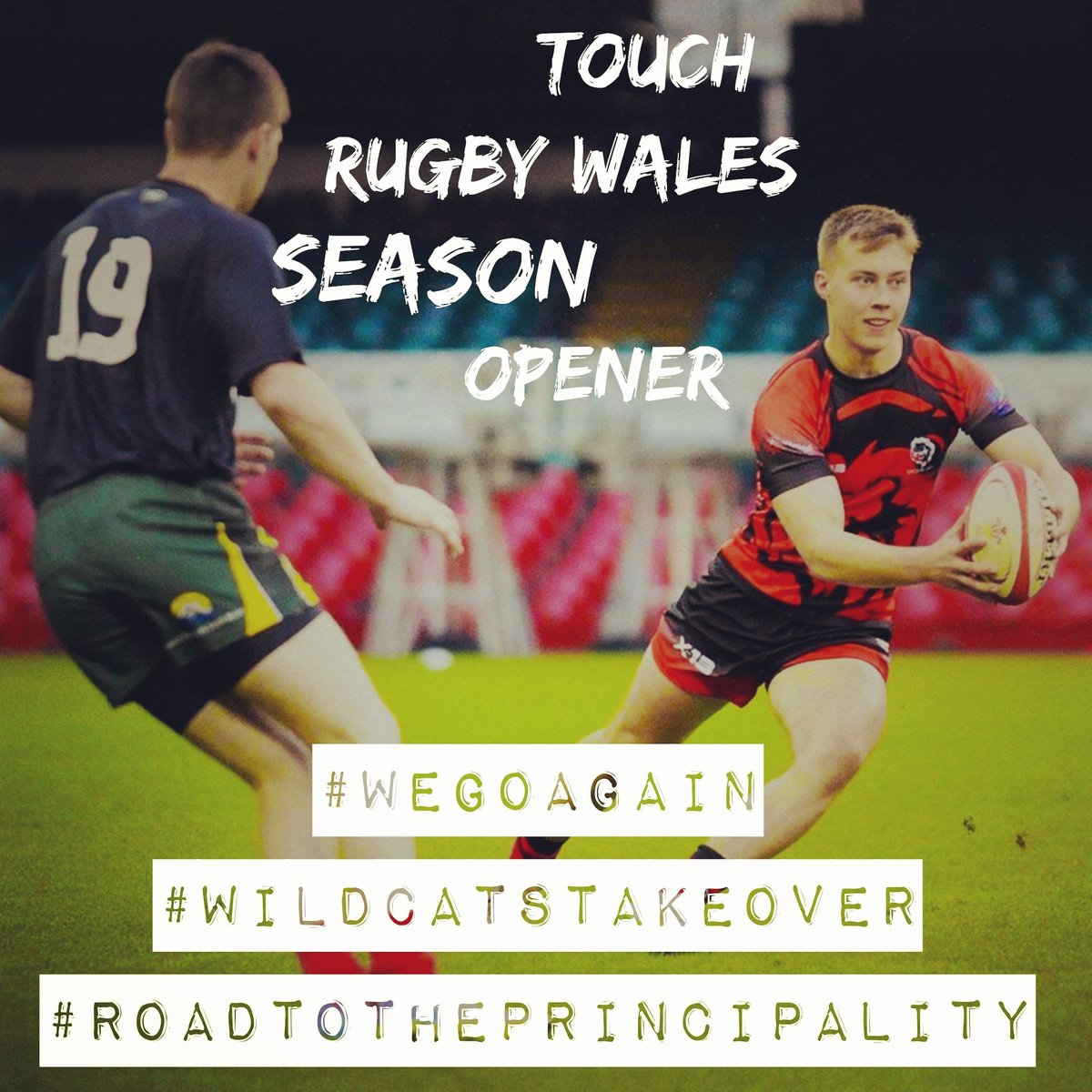 South Wales Wildcats tweet media