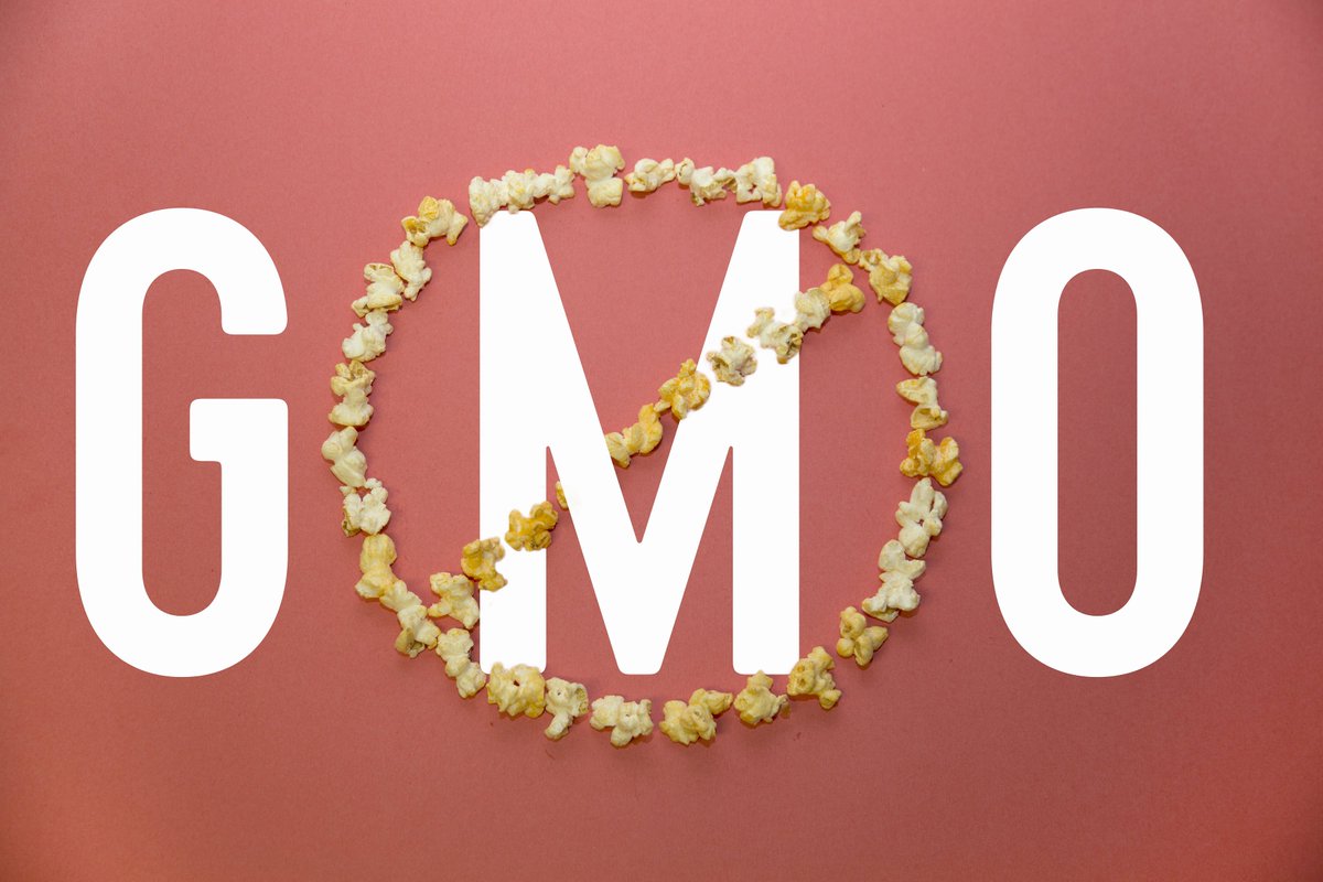 kernelspopcorn's tweet photo. Team NO-GMO's! Enjoy gluten-free, whole grain goodness with every bite!  #NonGMO #GlutenFree #GFLiving #Kernels  #Spring #Yum #Foodie #Foodlover #Tasty #TasteMade #SnackTime #Snack #Appetite #Popcorn #KernelsPopcorn #PartySnacks #Popcorn #WholeGrain #HealthyTreat #Snacking https://t.co/CVrwuDFpYx