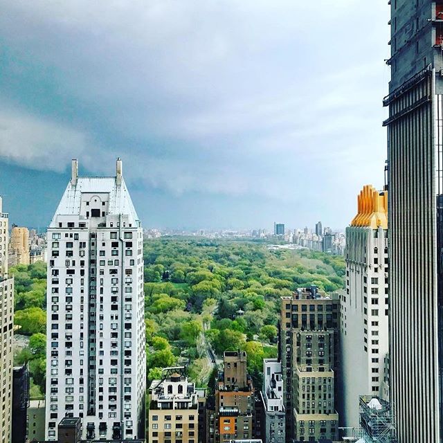 Green has returned to Central Park! #parkernyc