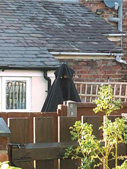 Henry_Johnson6's tweet photo. FFS I just walked out of my back door and thought an 8 foot Asian women was staring at me, 😱😱😱😱😱😱 https://t.co/UE36Qur05u