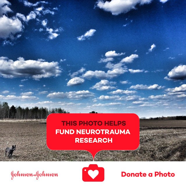YoKristyna's tweet photo. Breezy warm afternoon. #jnj @donateaphoto https://t.co/CeNWUGFWYj https://t.co/2gG4GxZPDH