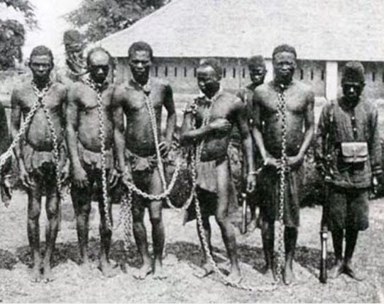 Henry_Johnson6's tweet photo. Taking the dogs for a walk https://t.co/AQTfWibBfw
