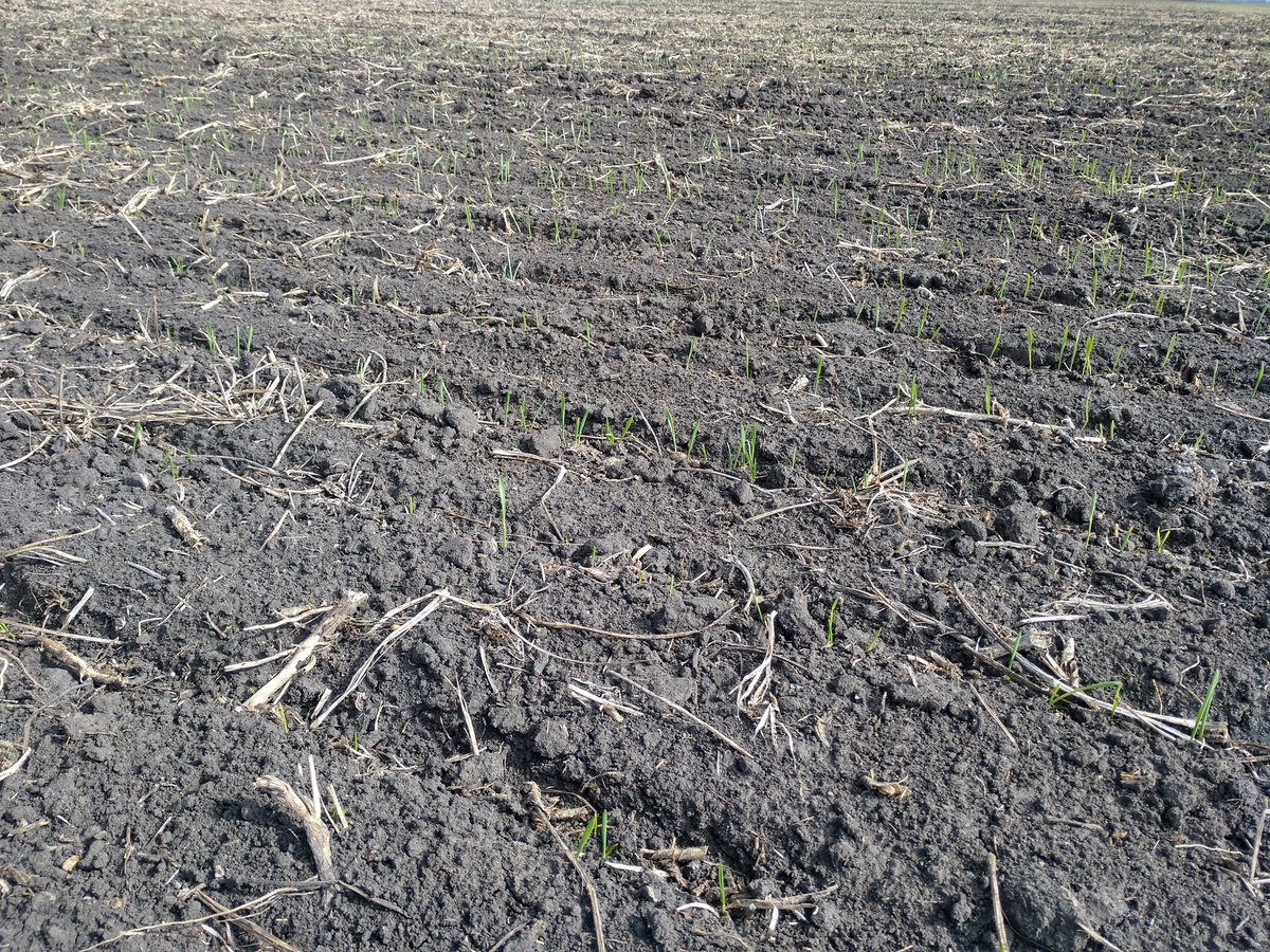 farmingreen tweet picture