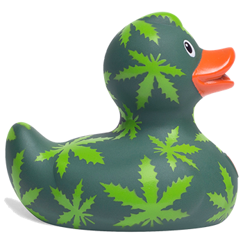 squeakyducks's tweet photo. BUD's Mini Hemp Duck is 420 friendly. This limited edition version of their Hemp Duck is available while quantities last. Get yours here: https://t.co/JDrvJp55iC
#Hemp #420friendly #RubberDuck #MaryJane https://t.co/W7ku6LEWUj