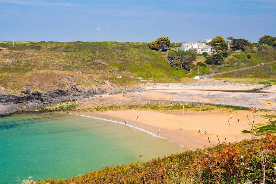 Forms Plus tweet media