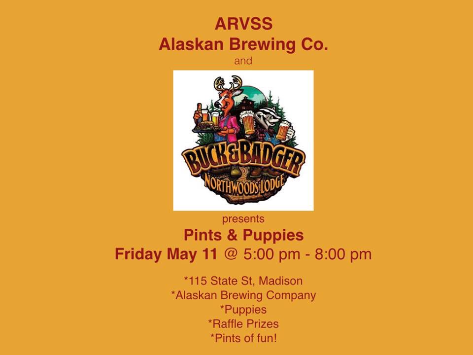 ArvssRescue's tweet photo. Buck &amp; Badger on Friday! Good beer and puppies!! #AlaskanBrewingCo https://t.co/MUKB0rXGOA