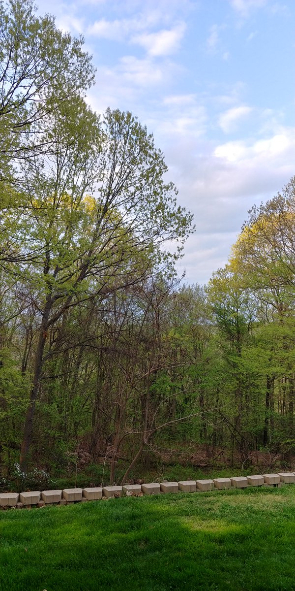 hellohahanarf's tweet photo. I can no longer see the river. Good thing the green is beautiful.
βΊ
#smalltownCT https://t.co/Y7PSQnxRd2