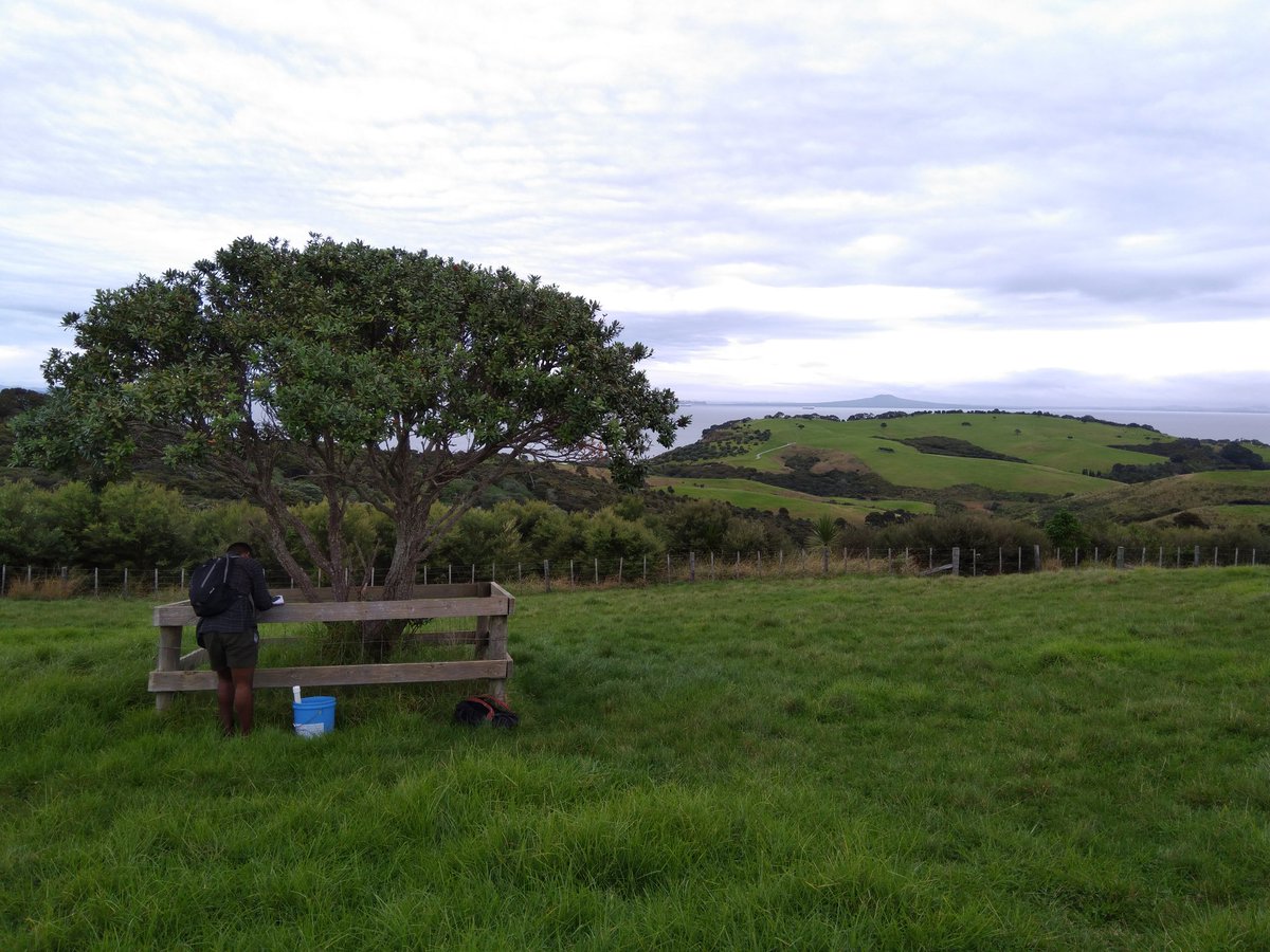 Rowan Stanforth tweet media