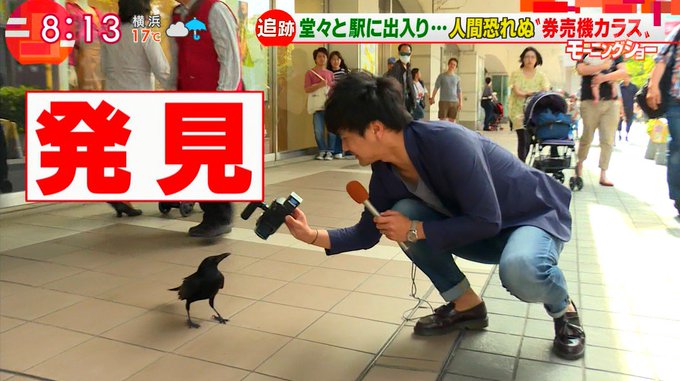 錦糸町の券売機カラスが可愛すぎる 保護され人に飼われてた可能性も かわいい 見るために錦糸町行く まとめダネ