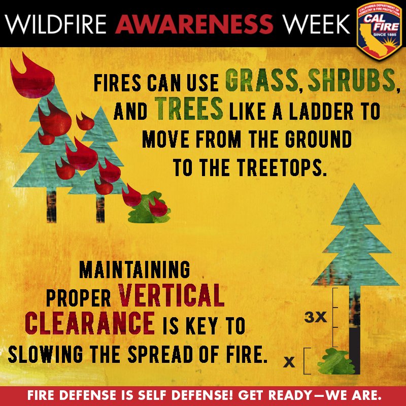 CAL_FIRE's tweet photo. Fire can rapidly spread around your property. Extra vertical spacing between shrubs &amp; trees will slow the spread of fire &amp; create a stronger defensible space. An easy formula to follow is 3x Height of Shrub=Minimum Vertical Clearance. #WilfireAwarenessWeek https://t.co/jNLKK4qgcJ https://t.co/9C3HzUuRne