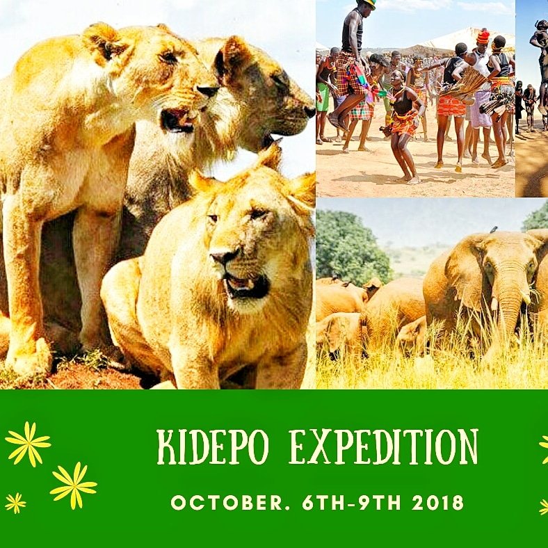NEVER EXPLORED KARAMOJA OR THE KIDEPO VALLEY NATIONAL PARK ?
Here is the opportunity to trek into the land of the karamojongs the Nomad Warrriors and explore the Magical Kidepo in Noble Karamoja Come this October 6-9th and LETS go on an adventure <a href="/trekafrica1/">Trek Africa Eco Tours</a>