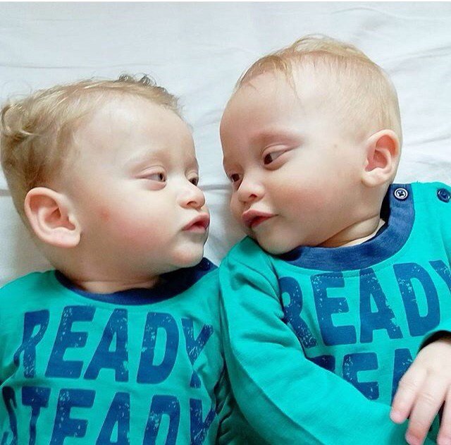 self_employed1's tweet photo. Braedan and Lachlan turns 2! https://t.co/AIWkTtjrq3 https://t.co/jKGYPKT3gP