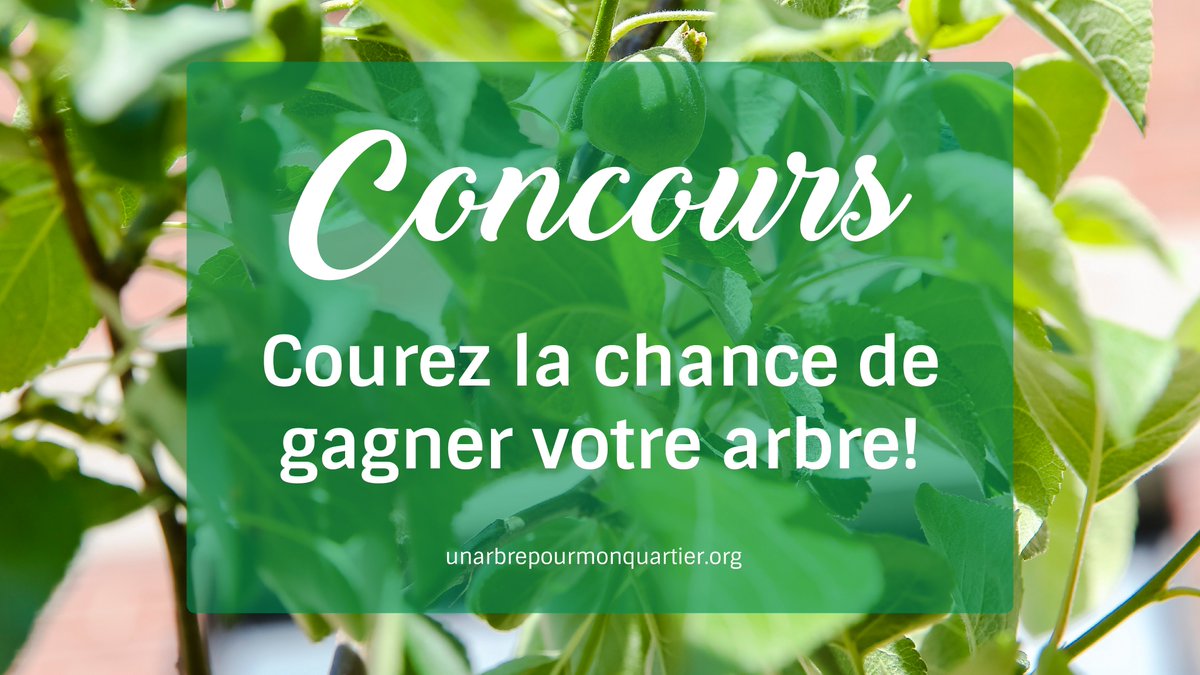 REQMontreal's tweet photo. Courez la chance de gagner l’arbre que vs avez acheté ds le cadre de la campagne printanière d’ https://t.co/gZhL10XF6m . Pr participer au concours organisé avec @Soverdimtl , il faut aimer, partager &amp; commenter la publication du REQ sur Facebook! #uapmq 👉https://t.co/Ddj4HFBg1u https://t.co/lqVSCnBRyv