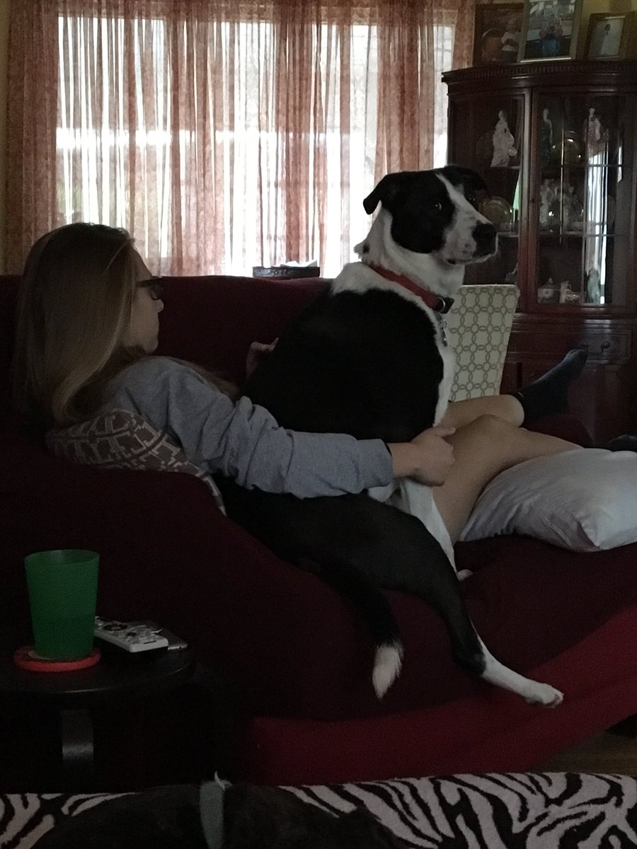 kristymomk's tweet photo. Sad girl and her dog 😢🐶 #soccerinjury #sprainedknee #savedthegoal #missedlaxgame #RICEtheknee @cdegirlslax https://t.co/EkDL6KagyX