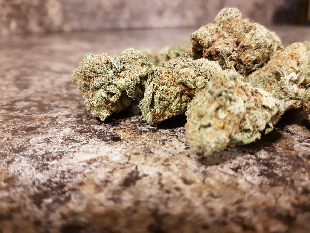 FameRetweets's tweet photo. Shots of #MauiWaui #MedicalMarijuana 🌴🔥

#TrueChron #Chronathon #topshelflife #medical #Marijuana #bud #weedporn #chronic #pot #710Society #420life #smokeweedeveryday #weedstagram #smoke #stoner #staylifted #stonersociety https://t.co/8wX8lgzhwG