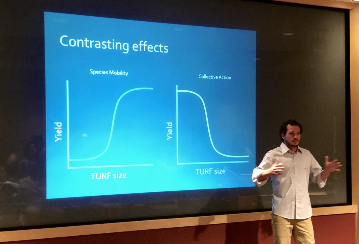 LAFFellows's tweet photo. Parabéns to Dr. Daniel Viana on his dissertation @brenucsb on #Management and #Design of #MarineReserves and #RightsBasedManagement Systems in #SmallScaleFisheries. https://t.co/kaqsI7oJ3p