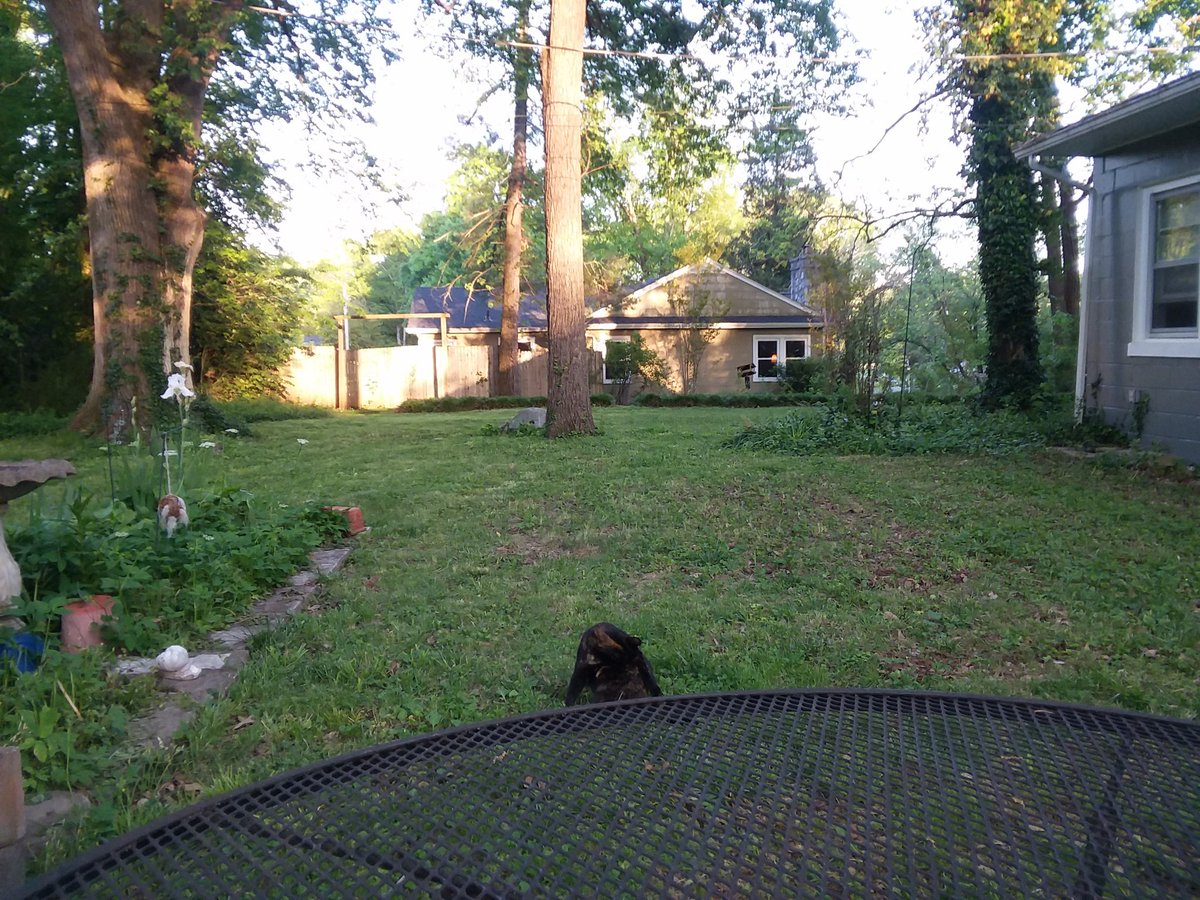 How much more peaceful can this be?