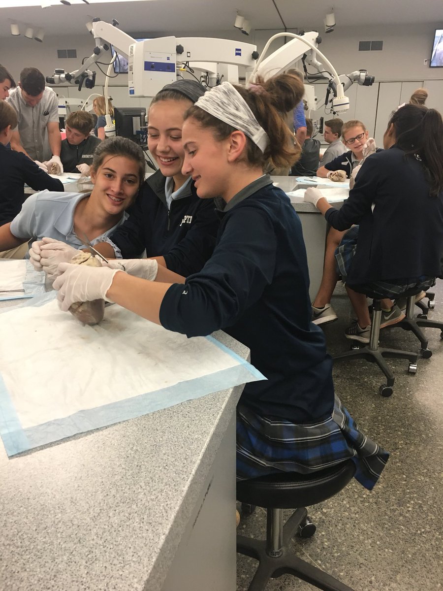 MrsWyattScience's tweet photo. I had the opportunity to tag along with our 7th grade students for a dissection lab at SLU. @bakereducator https://t.co/1ef8RXX8vu