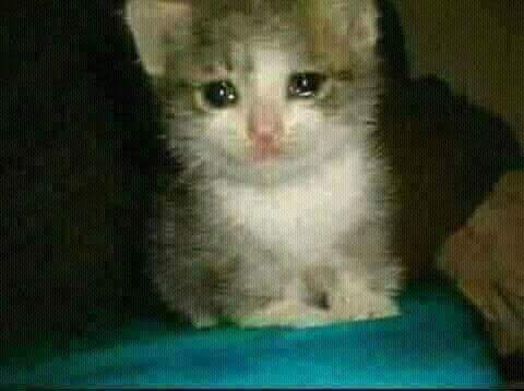 زهورقلبي aandzzz Twitter