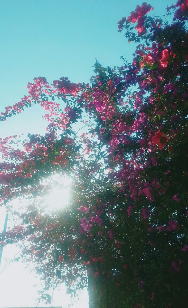 زهورقلبي aandzzz Twitter