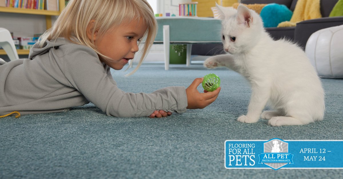 MohawkFlooring's tweet photo. Find a carpet that not only fits your life but that is easy to care for and clean, like our SmartStrand Forever Clean Carpet! Don't miss out on your chance to get up to $1,000 off during our #AllPetSale, here! > https://t.co/6oOQCRAbUo #mohawkflooring #PetsOnMohawk https://t.co/61KyrqmVSG