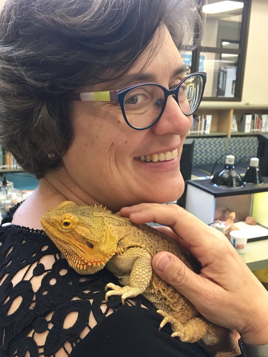 JRELibrary's tweet photo. Celebrating four years of friendship and partnership with @bibliopinions and @BlueWillowBooks with a wonderful #authorvisit with @JessDayGeorge So much love and gratitude for this gem of an #bookstore https://t.co/sUJnDF7pA2