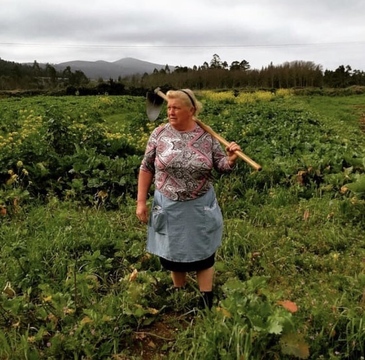DrifterShoots's tweet photo. Ok the  #MetGala is great and all but don’t let that distract you from the fact that Donald Trump’s doppelgänger has been discovered and she’s a Spanish potato farmer. https://t.co/oZ3Gx87LFn