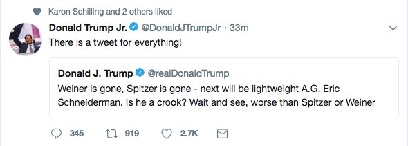 intheMatrixxx's tweet photo. @DonaldJTrumpJr retweets a @POTUS tweet from 9/11/03 regarding pervey @AGSchneiderman questioning if he was a crook. Don Jrs. response, "There is a Tweet for everything!" #BOOM Mic Drop! Oh, and #FutureProvesPast. 
#QArmy #QAnon #MAGA #WWG1WGA #TheRainMakers https://t.co/aych3xdD9H