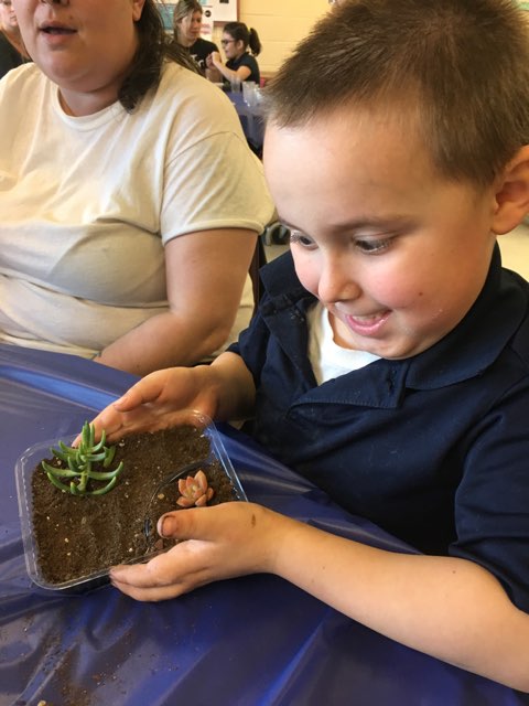 VCAssociation's tweet image. Thanks @BuffaloGardens for a fun night making our own succulent dishes to take home!